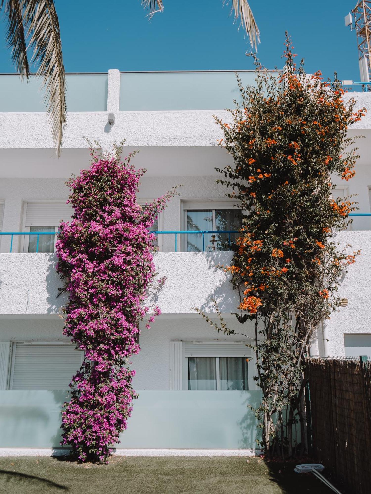 סן חוזה Hostal Las Gaviotas Del Cabo מראה חיצוני תמונה