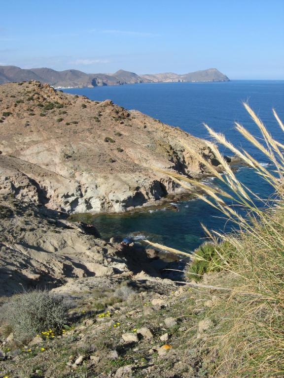 סן חוזה Hostal Las Gaviotas Del Cabo מראה חיצוני תמונה